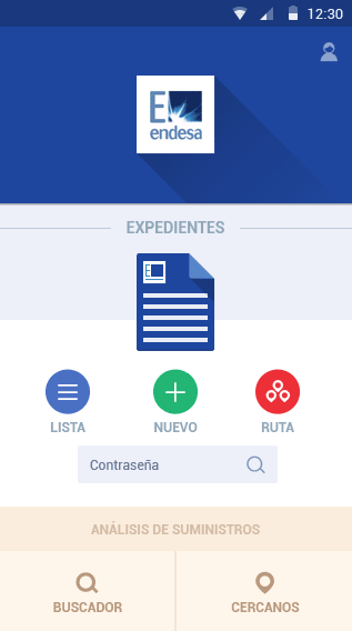 customer-endesa