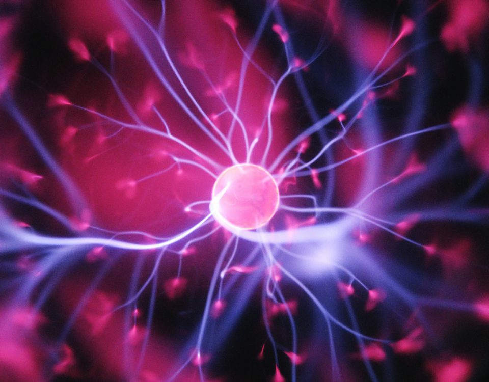 neuromarketing
